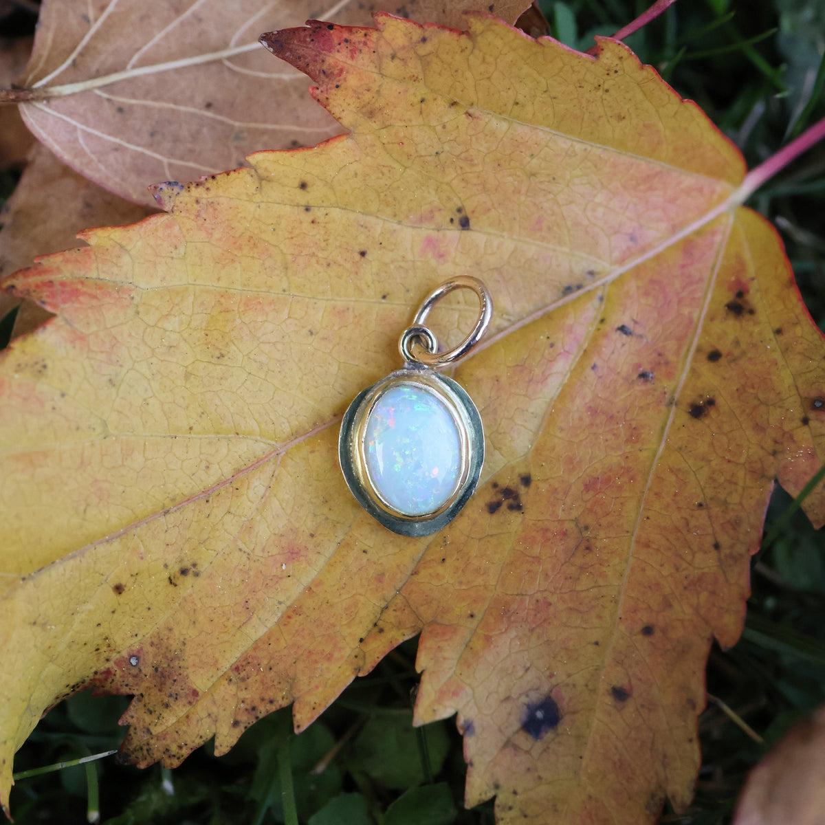 Trace Charm - Australian opal & 10k gold