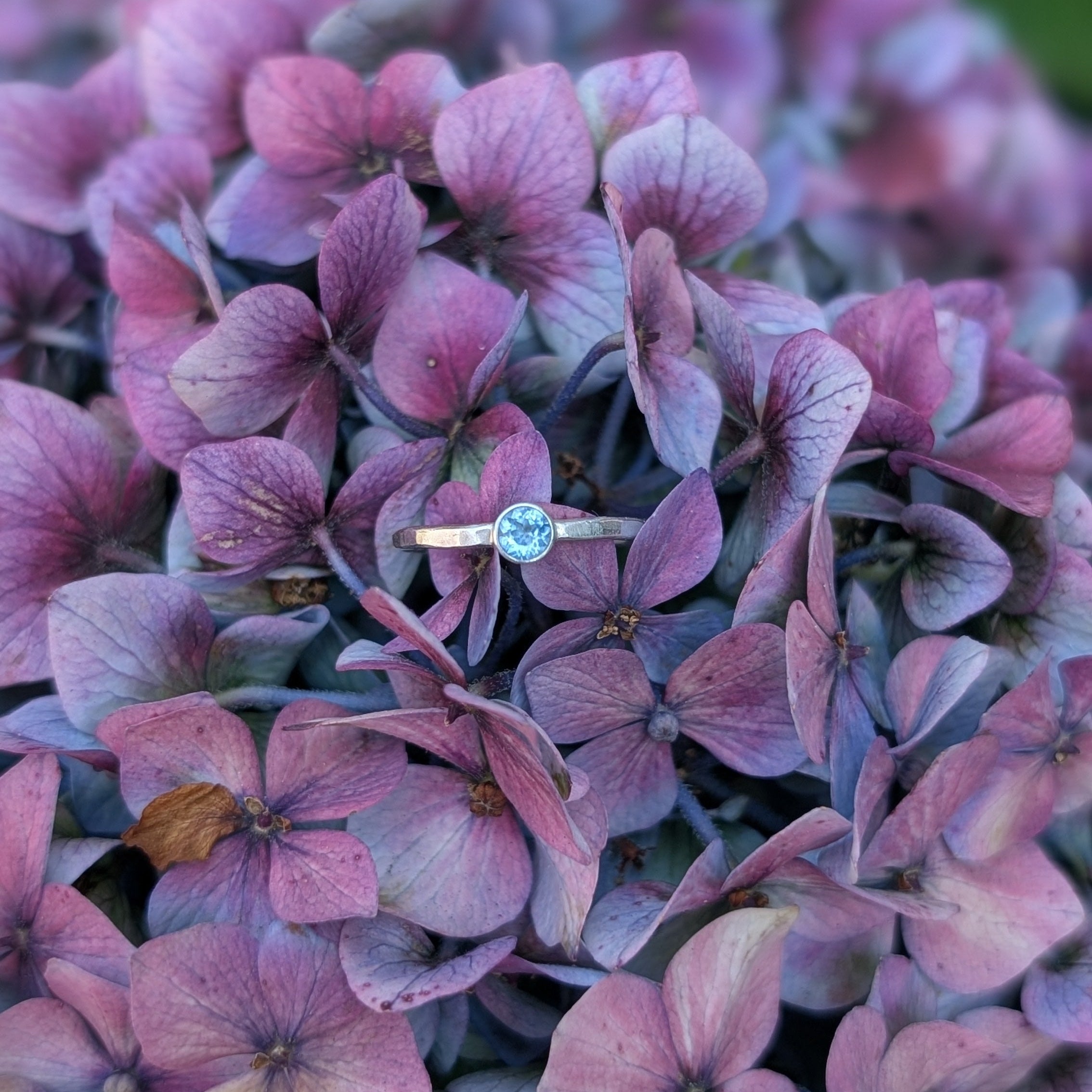 A delicate silver ring with a round light blue gemstone rests on a dense cluster of purple and pink hydrangea flowers.