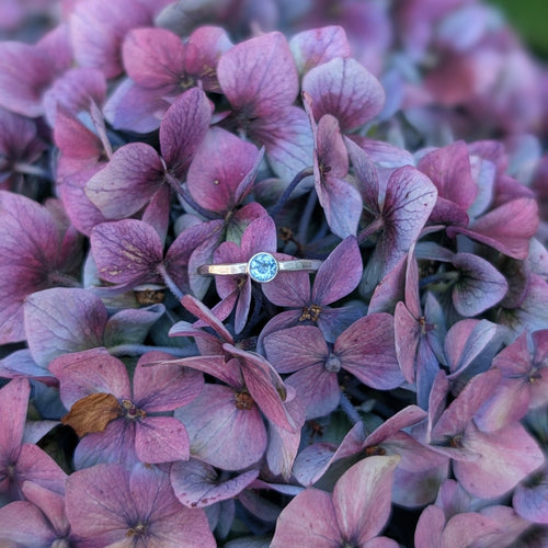 A delicate silver ring with a round light blue gemstone rests on a dense cluster of purple and pink hydrangea flowers.